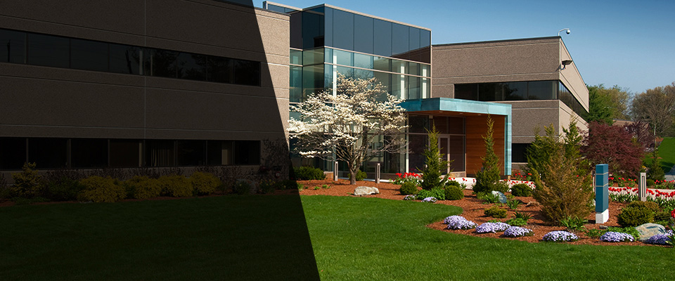 Kingman Landscapers