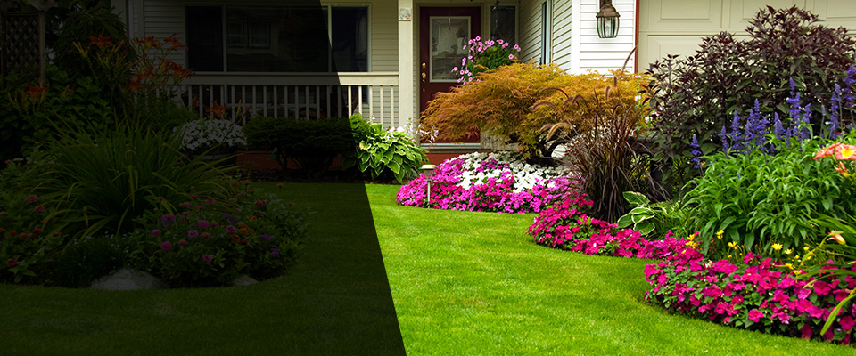 Kingman Landscapers