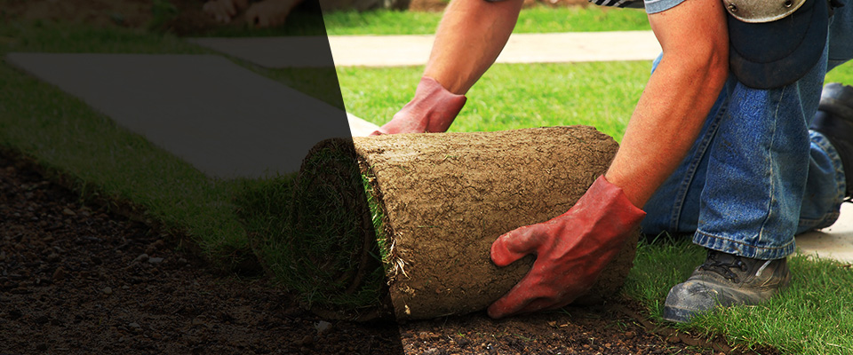 Kingman Landscapers